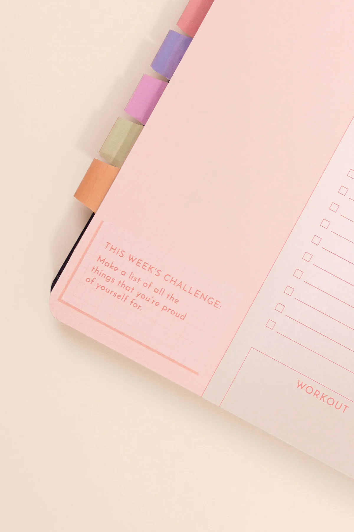 2026 Fit Planner + Stickers - Multicolor Floral - Image 11