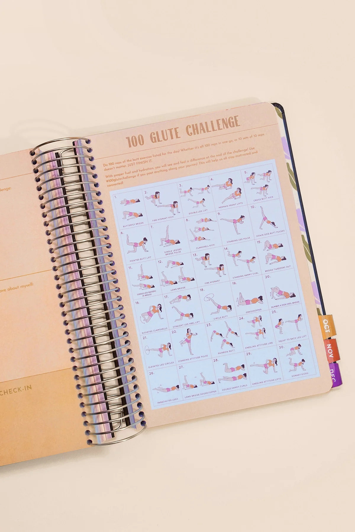 2026 Fit Planner + Stickers - Multicolor Floral - Image 13